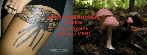 сатива Армянск