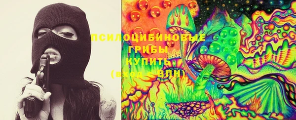 сатива Армянск