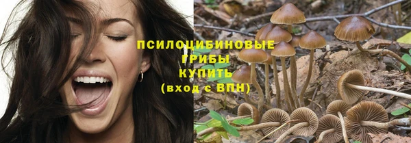 сатива Армянск