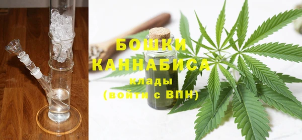 сатива Армянск