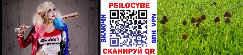 Галлюциногенные грибы MAGIC MUSHROOMS  мега ссылки  Радужный 